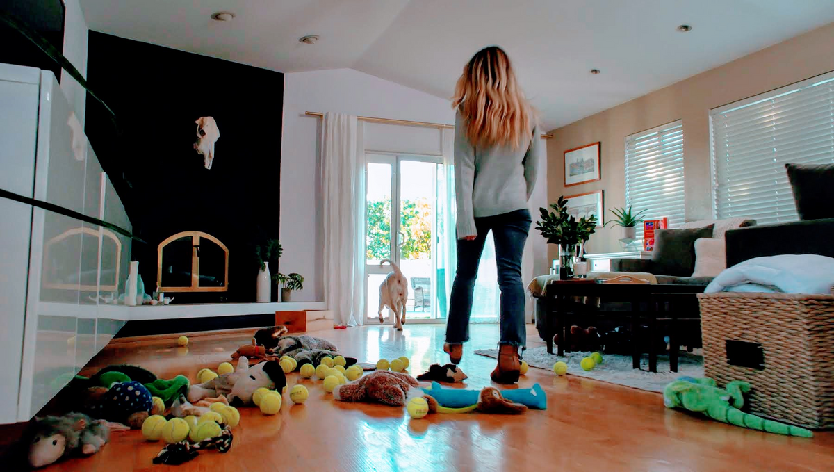 Curated visual reference: Gallery Detail: Why Your Dog Barks At Strangers And How To Stop