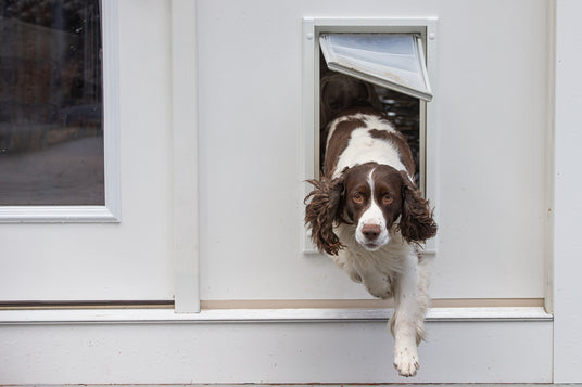 Close-up of the dog door flap on a white wall dog door. This shows the quality of the endura flap used in these dog doors for walls.