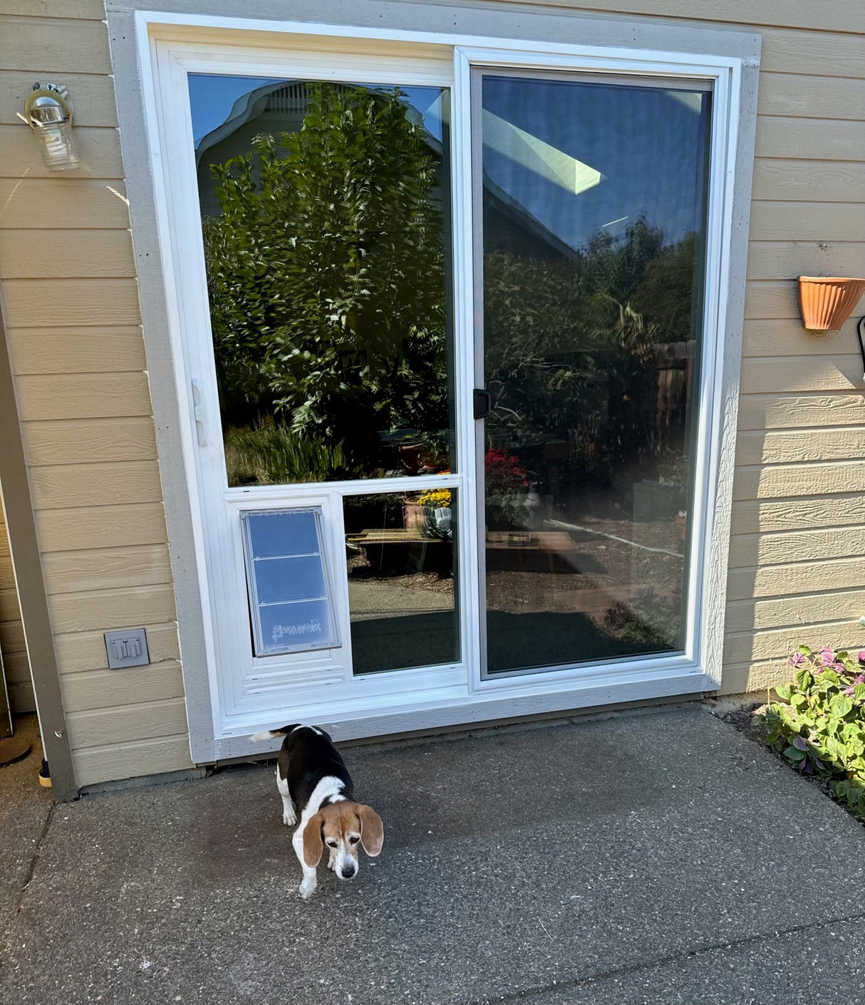 sliding door with dog door