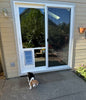 Pet Door Guys - "In The Glass"