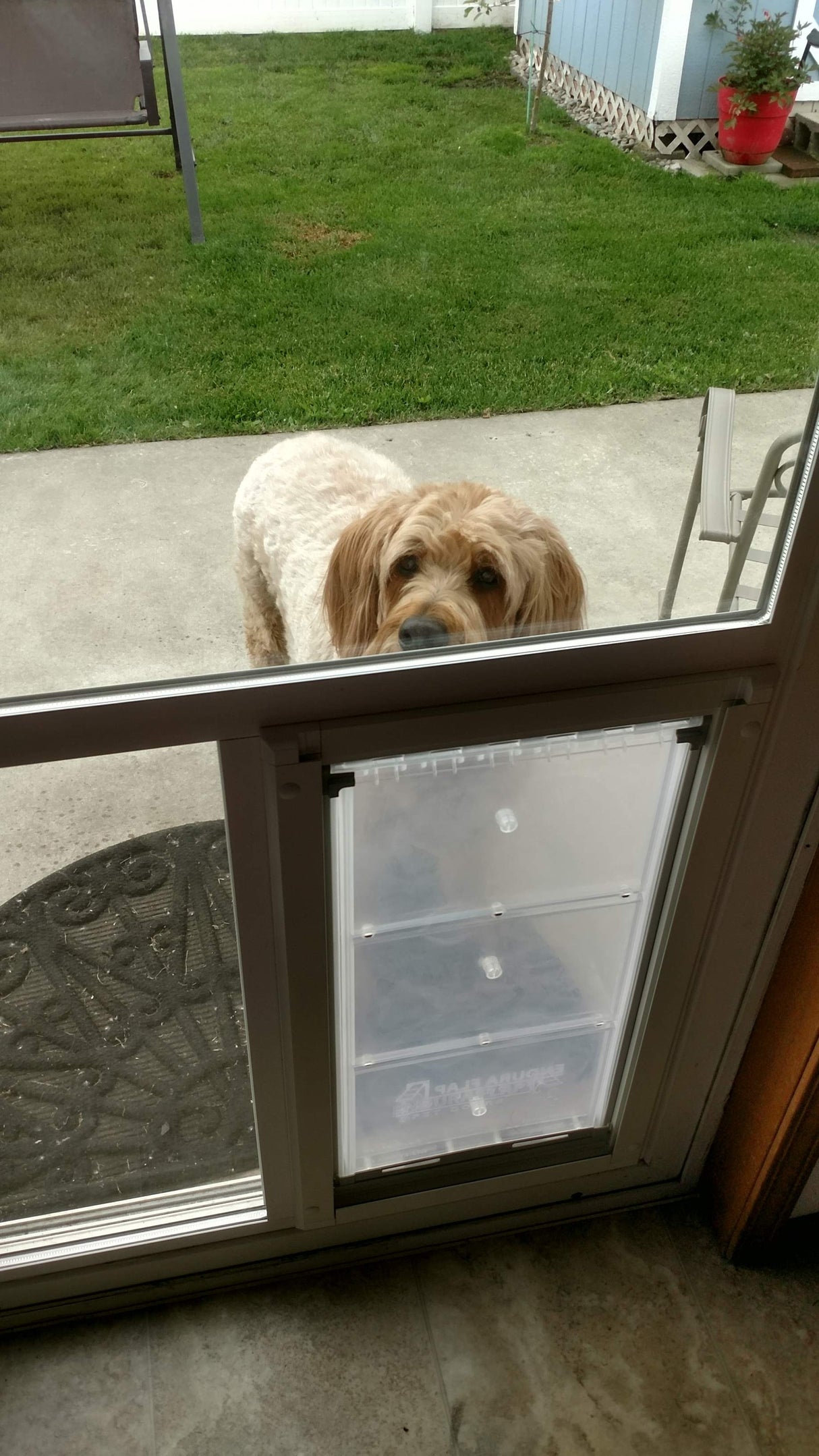 sliding glass door with dog door built in