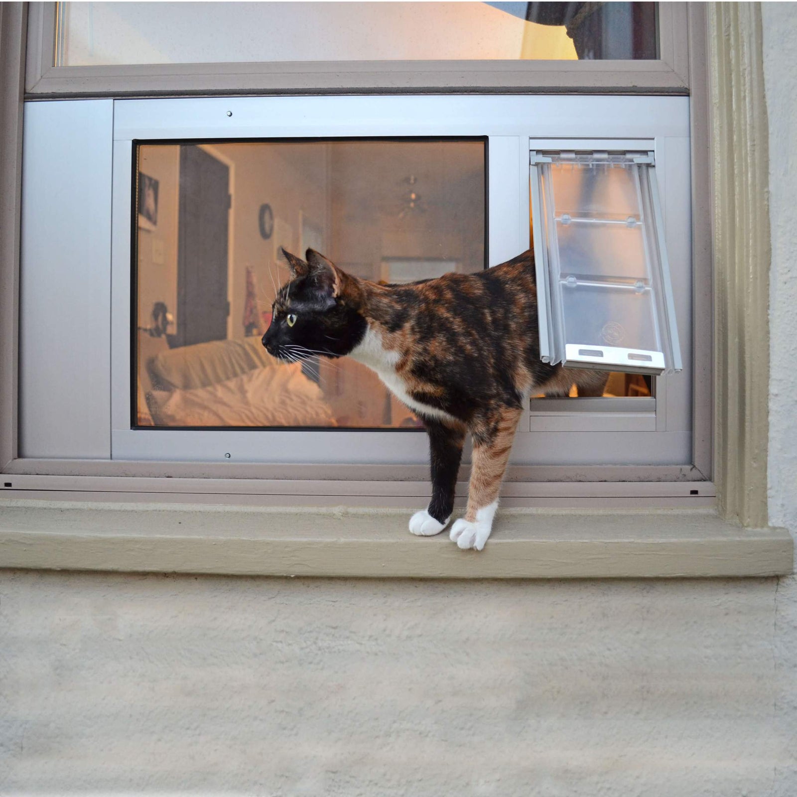 cat using endura flap sash window pet door