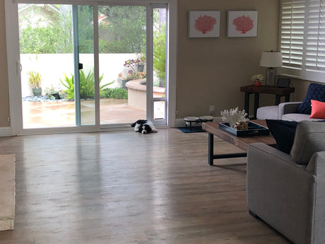 dog with Endura flap pet door for sliding glass doors