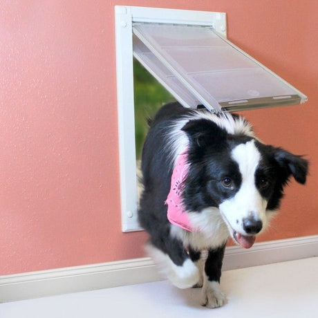 How to install dog door in wall 