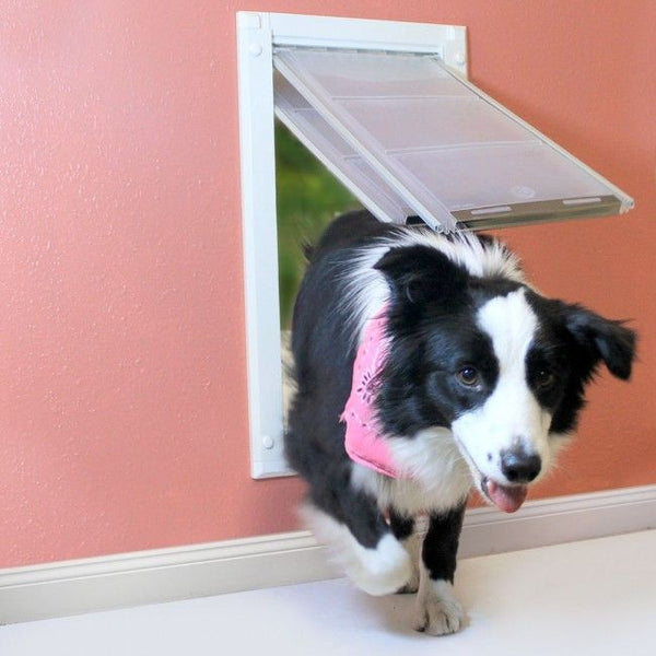 How to Install A Doggy Door Into a Wall