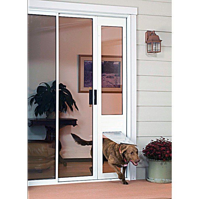 What Pet Door Size Should You Buy Based On Your Dog's Breed