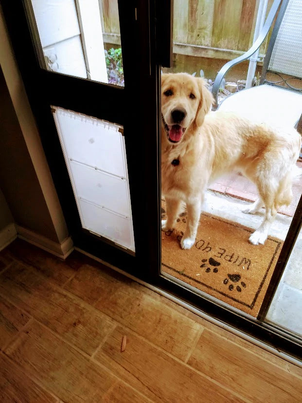 Dog door hot sale cover up