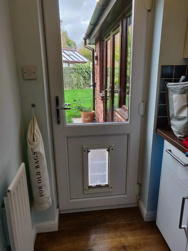 Permanent dog outlet door