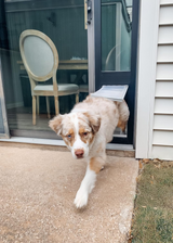 Endura Flap Dual Pane Glass Thermo Panel 3e