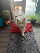 Endura Flap Thermo Panel 3e