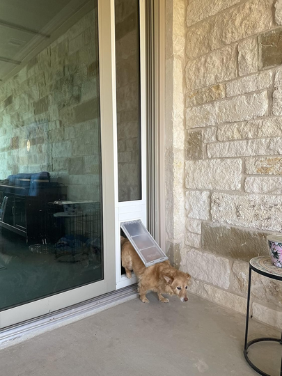 Endura Flap Vinyl Sliding Glass Dog Door: A Perfect Fit for