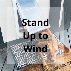 Wind blows dog door open best sale