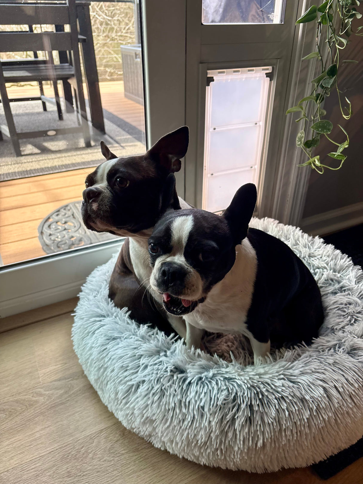 Endura Flap Dual Pane Glass Thermo Panel 3e