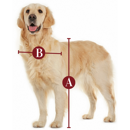 Pet measuring guide — A: height at back, B: shoulder width