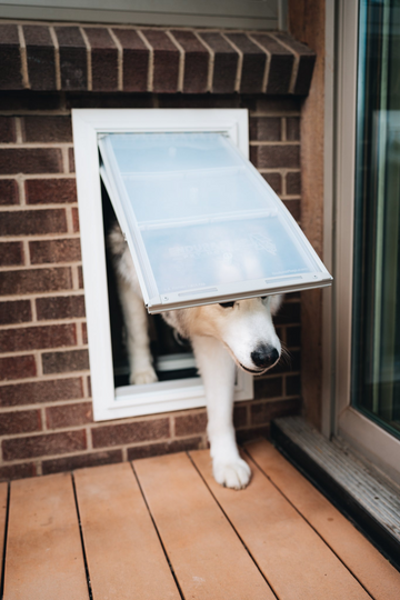Endura Flap Wall Mount Pet Door: Superior Weather Resistance for