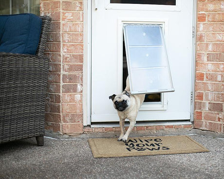 Small dog using Endura Flap pet door.