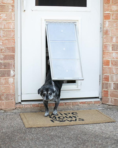 Dog looking through Endura Flap pet door.