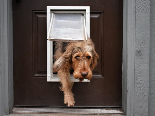 thumbnail image 2 of Endura Flap Pet Door For Walls In Black | Energy-Efficient Single 2 of 11