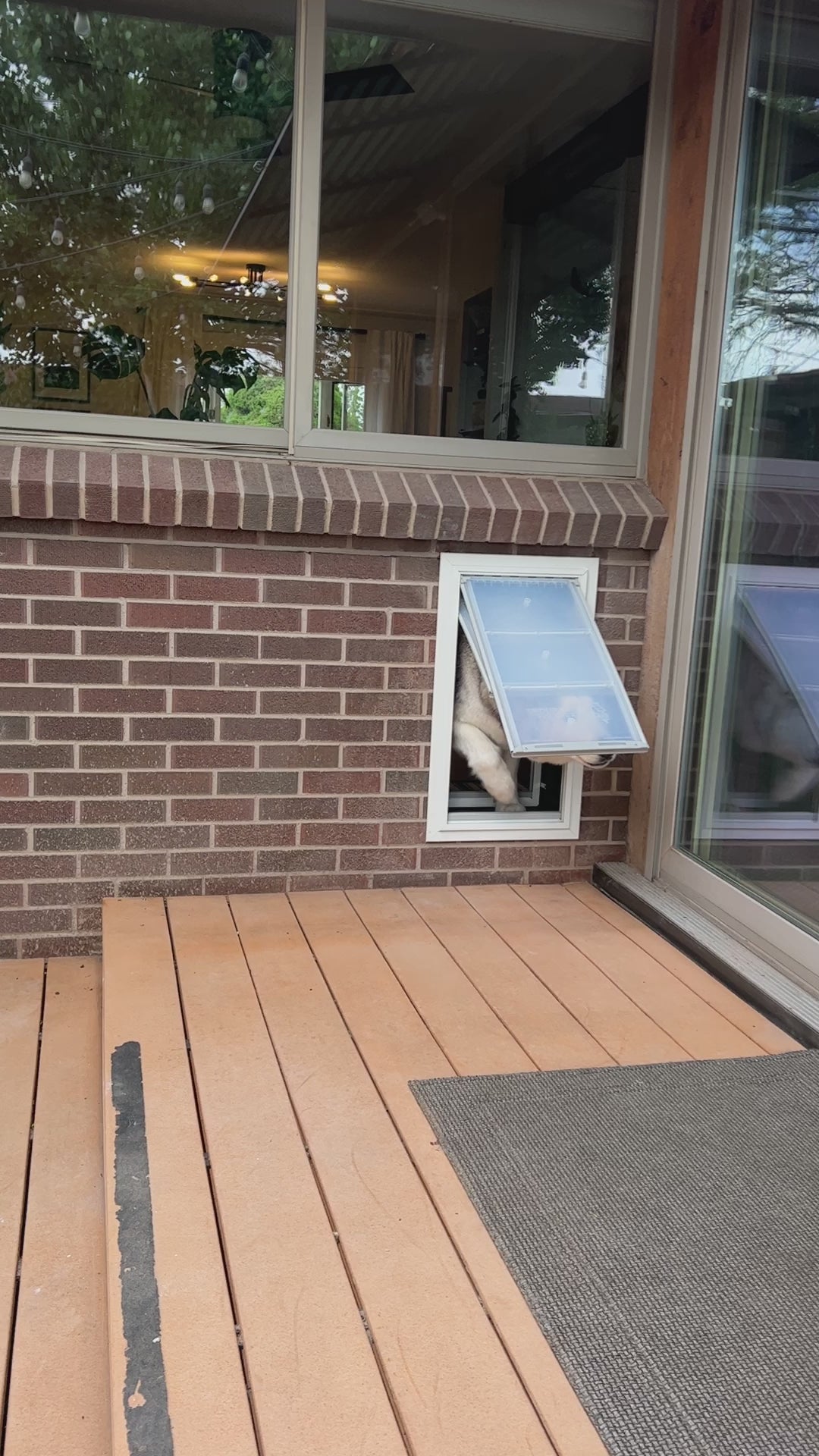 Endura Flap Wall Mount Pet Door