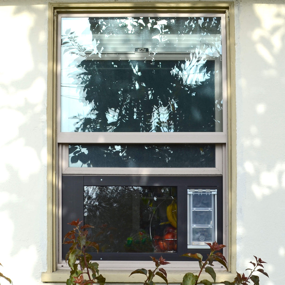 Thermo Sash Small Satin Frame Cat Door in use