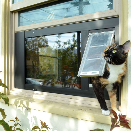 Pet door 2025 for window screen