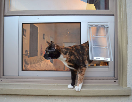 best dog door for cold weather