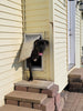 endura single flap wall mount pet door