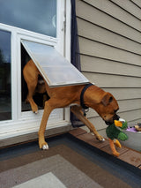 pet door guys in the glass