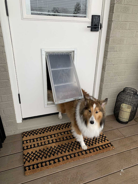 thin dog door weather seal