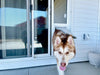 husky using endura thermo panel door