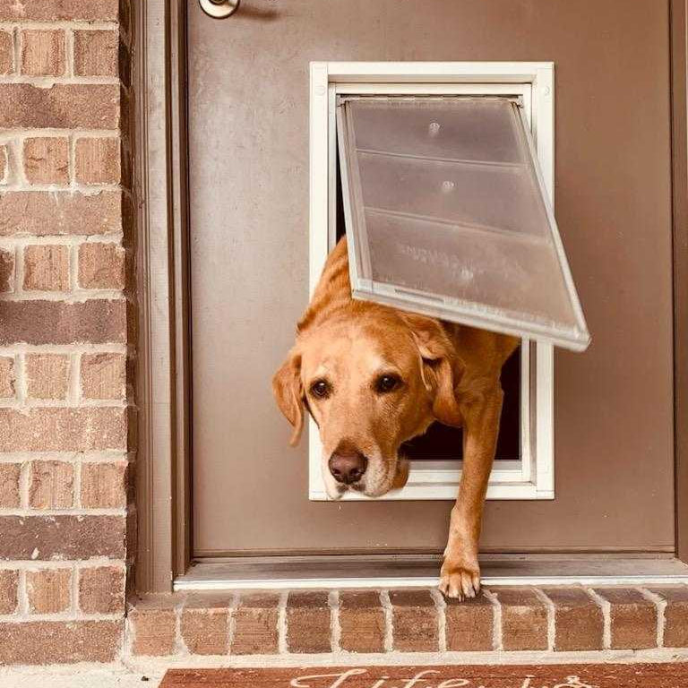 Endura Flap Single Flap Pet Door for Thin Doors