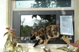 insulated cat door for window