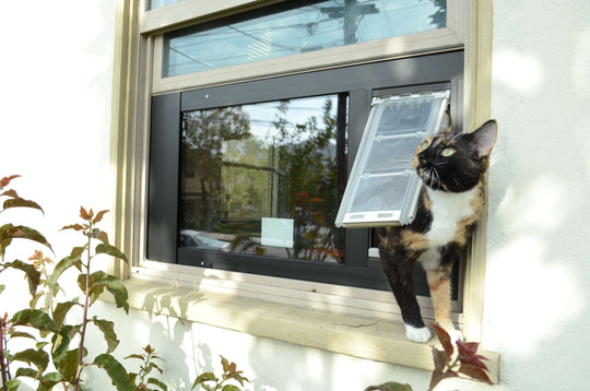 Thermo Sash 3e Showing "Endura" Flap large sized pet door for window.