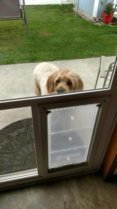 sliding glass door with dog door built in