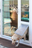 dog using endura flap vinyl sliding glass door pet door