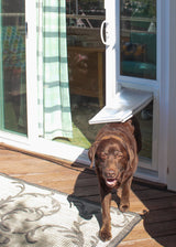 Endura flap vinyl dog door patio door