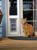cat next to endura door