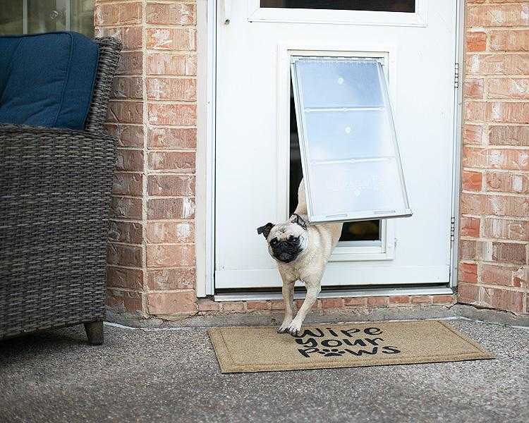 Endura Flap Single Flap Pet Door for Thin Doors