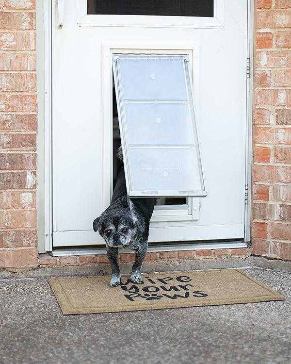 Endura Flap Single Flap Pet Door for Thin Doors