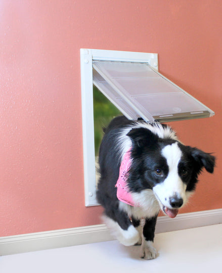 Endura Flap Double Flap Wall Mount Pet Door