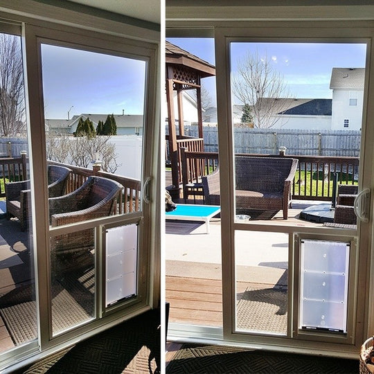 in the glass pet door installed in a slider leading out to a patio area