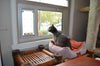 cat looking out sash window pet door