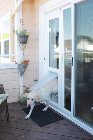 dog using sliding glass door pet door insert
